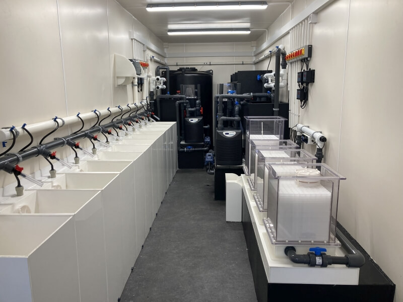 Inside The big small unit