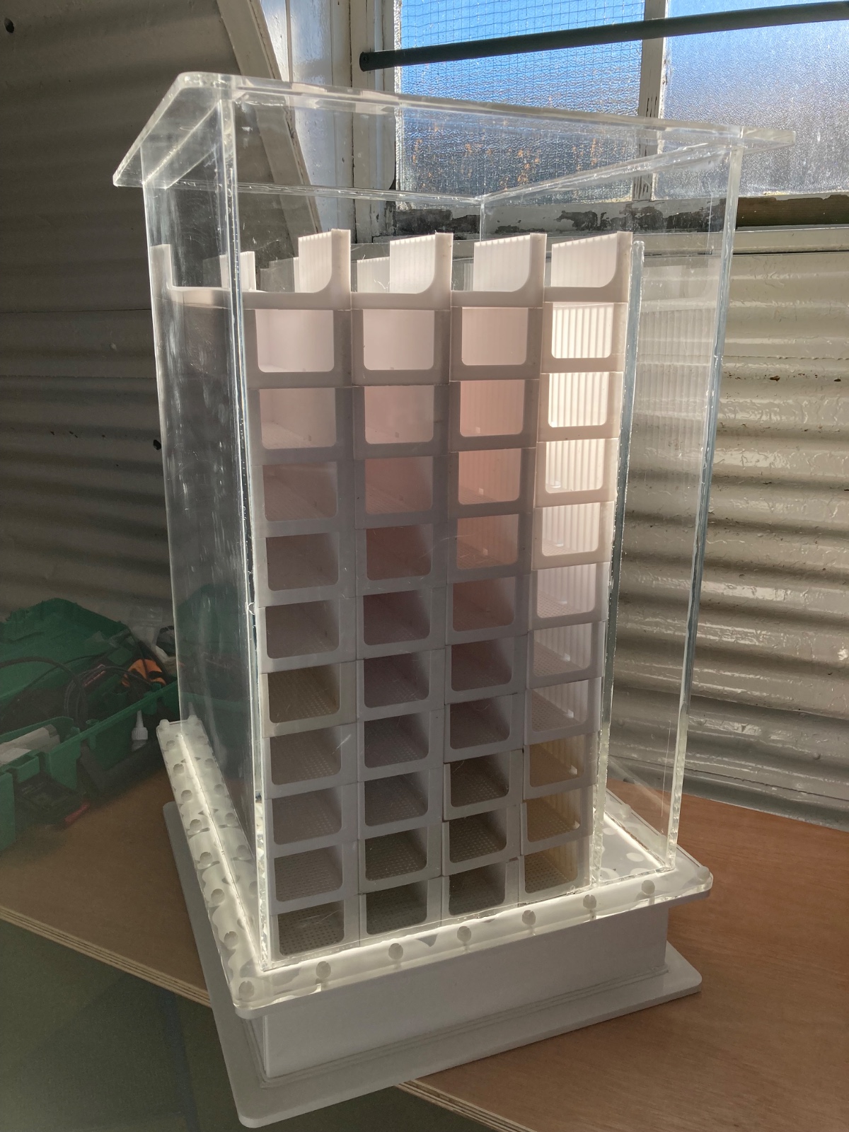 Ongrowing Lobsters on Land